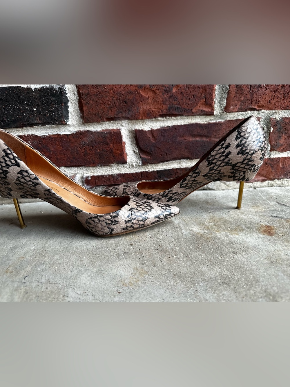 Kurt Geiger Beige and Black Snake-Print Pointed-Toe Pumps